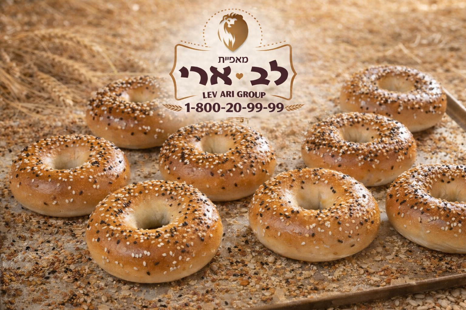 בייגל ביס